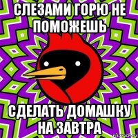 слезами горю не поможешь сделать домашку на завтра