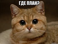 где план? 