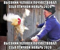 высокий человек почувствовал себя птичкой ноябрь 2020 высокий человек почувствовал себя птичкой ноябрь 2020