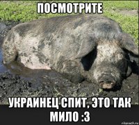 посмотрите украинец спит, это так мило :3