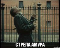  стрела амура