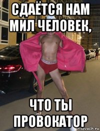 сдаётся нам мил человек, что ты провокатор