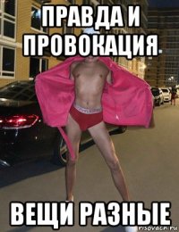 правда и провокация вещи разные