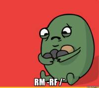  rm -rf /*