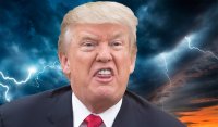 Создать мем Donald Trump