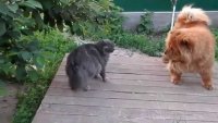 Создать мем Дружбы не будет
