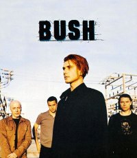 Создать мем Группа Bush