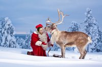 Создать мем Santa Elbegdorj handling a reindeer