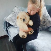 Создать мем The name Chow originates from a pidgin-English term used to depi