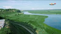 Создать мем Жуки
