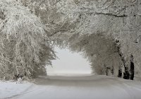 Создать мем Зимняя дорога