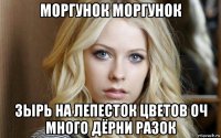 моргунок моргунок зырь на лепесток цветов оч много дёрни разок