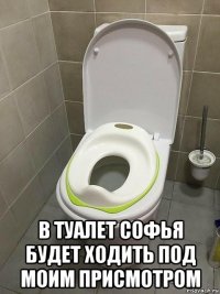  в туалет софья будет ходить под моим присмотром