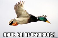  лишь бы не обкакался