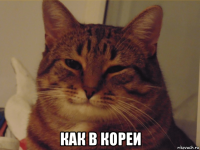  как в кореи