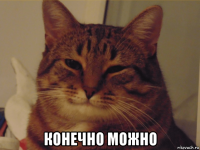  конечно можно