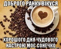 доброго ранку вікуся хорошого дня чудового настрою моє сонечко