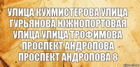 улица кухмистерова улица гурьянова южнопортовая улица улица трофимова
проспект андропова проспект андропова 8