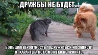 дружбы не будет... большая вероятность подружиться. но зависит от характера кота. может и не принять.