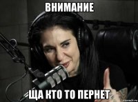 внимание ща кто то пернет