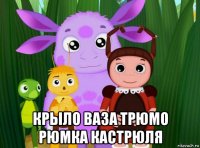  крыло ваза трюмо рюмка кастрюля