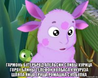  гармонь бутерброд апельсин сливы курица горох блины телефон колбаса кукуруза шляпа яйцо груша ромашка суп булка