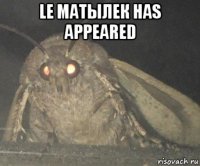 le матылек has appeared 