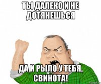 ты далеко и не дотянешься да и рыло у тебя, свинота!