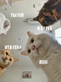 ты гей я не гей кто гей? я))))