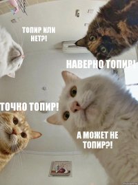 Топир или нет?! Наверно Топир! Точно Топир! А может не Топир?!