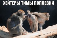 хейтеры тимы поплёвки 