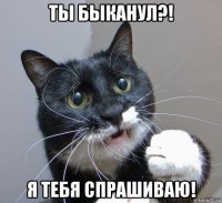 ты быканул?! я тебя спрашиваю!