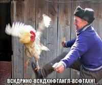  вскдрино-вскдхнфтангл-всфтахн!