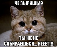 чё зыришь!? ты же не собираешься... нееет!!!