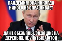 пандемия, она никогда никого не спрашивает даже обезьяны, сидящие на деревьях, не учитываются