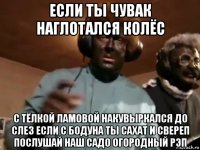 если ты чувак наглотался колёс с тёлкой ламовой накувыркался до слез если с бодуна ты сахат и свереп послушай наш садо огородный рэп