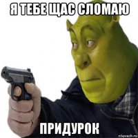 я тебе щас сломаю придурок