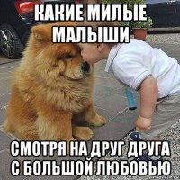 какие милые малыши смотря на друг друга с большой любовью