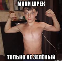 мини шрек только не зелёный