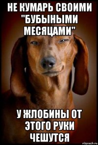 не кумарь своими "бубыными месяцами" у жлобины от этого руки чешутся