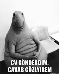  cv gönderdim, cavab gözlyirem