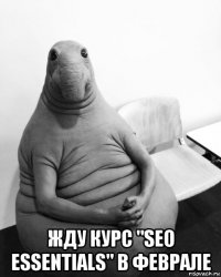  жду курс "seo essentials" в феврале