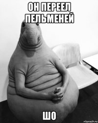 он переел пельменей шо