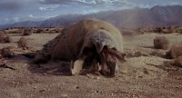 оно докембрийское! оно появилось из-под земли! оно завоняло!, Мем Graboid