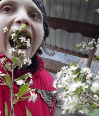 отрыгаловка после фасоли, Мем Insects bugs
