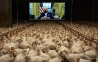 Создать мем Joe Biden
