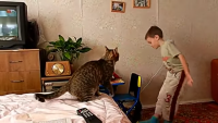 Создать мем Сима фас