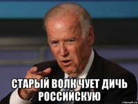  старый волк чует дичь российскую