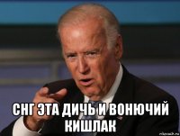  снг эта дичь и вонючий кишлак