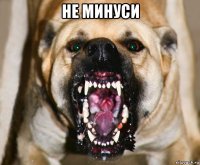 не минуси 